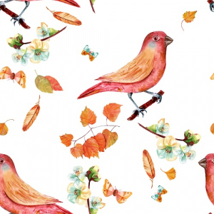 عکس با کیفیت نقاشی پرنده روی شاخه قرمز